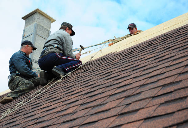 Best Gutter Installation and Roofing  in Silver Lake, NC